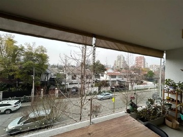 Imagen 13