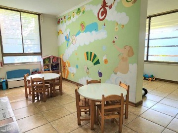Imagen 19