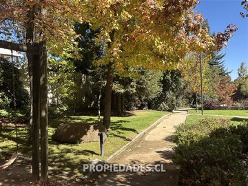Imagen 33
