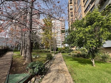 Imagen 21