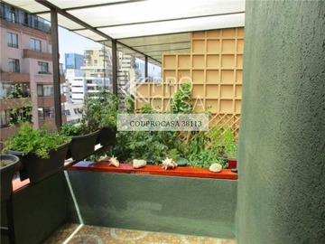 Imagen 6