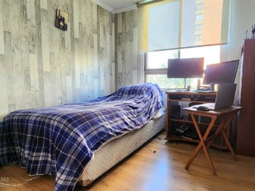 Imagen 11