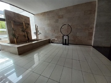 Imagen 15