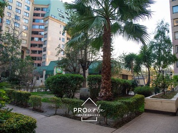 Imagen 23