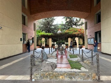 Imagen 16