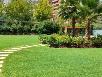 Imagen 15