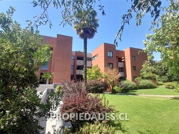 Imagen 37
