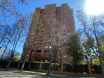 Imagen 19