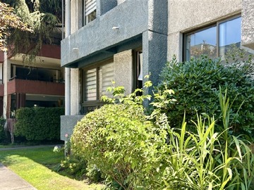 Imagen 11