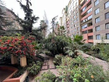 Imagen 10
