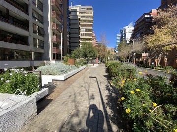 Imagen 18