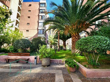 Imagen 22