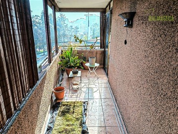 Imagen 19