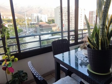 Imagen 6