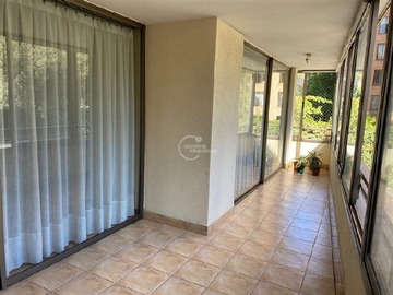 Imagen 11