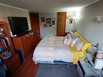 Imagen 13