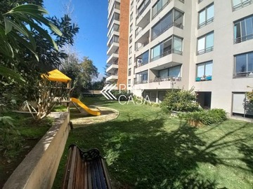 Imagen 11