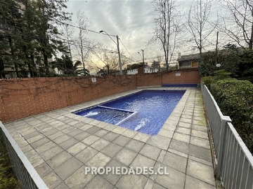 Imagen 19