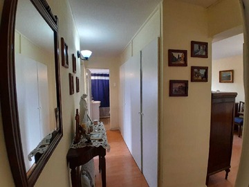Imagen 7