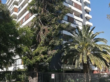 Venta / Departamento / Las Condes