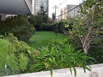 Imagen 17