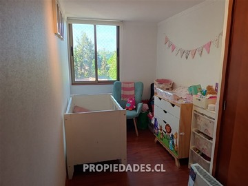 Imagen 15