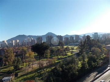 Imagen 11