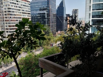 Imagen 12
