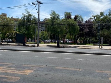 Imagen 25