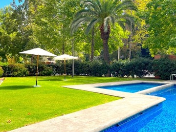 Imagen 23