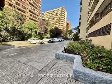 Imagen 20