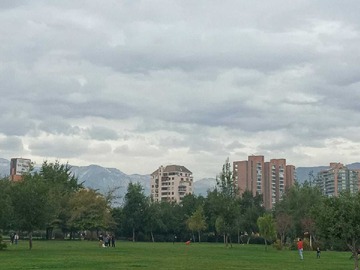 Imagen 9