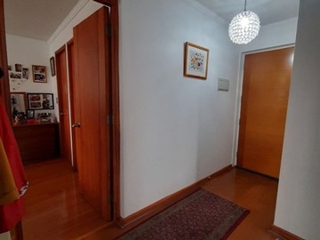 Imagen 14