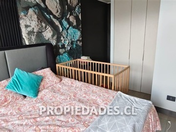 Imagen 22