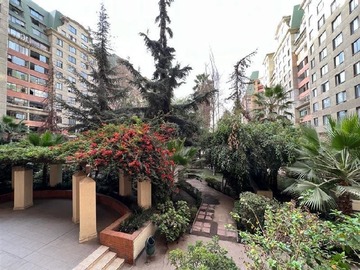 Imagen 7