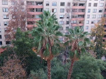 Imagen 11