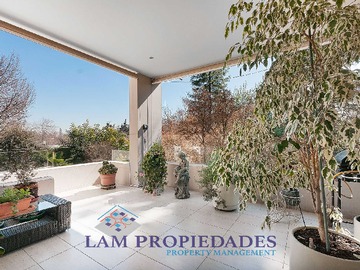 Imagen 20