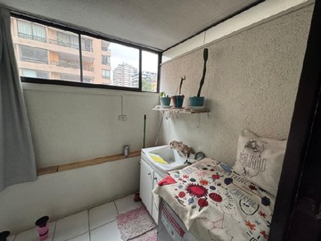 Imagen 15