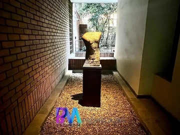 Imagen 20