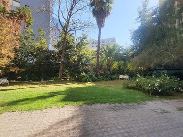Imagen 21