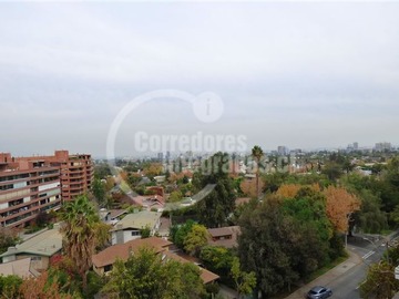 Imagen 16