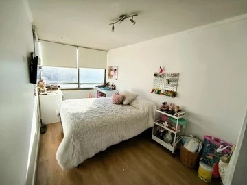 Imagen 15
