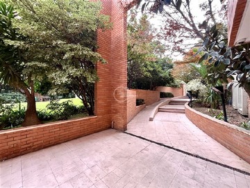Imagen 23