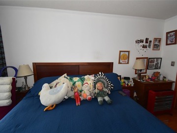 Imagen 7