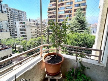 Imagen 21