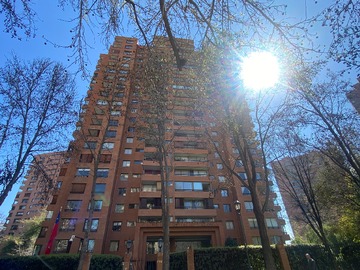 Imagen 19