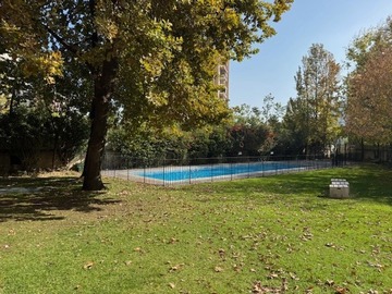 Imagen 29