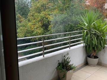 Imagen 5
