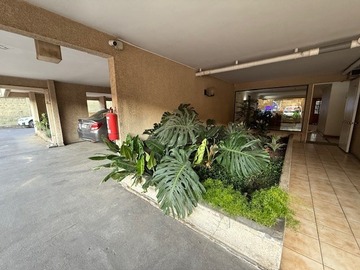 Imagen 23