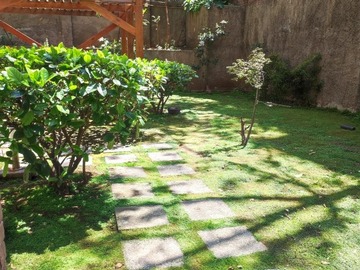 Imagen 18